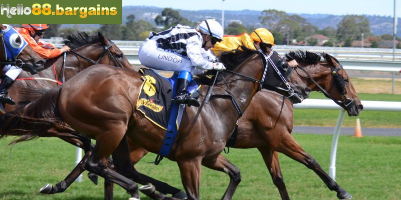 Thể thao Hello88: Chuyên mục cá cược bóng đá tỷ lệ ăn cao 3 Điểm qua hình thức cược thể thao Hello88 thông dụng nhất